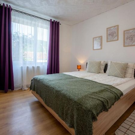 Nya Apartment Sighişoara Exteriör bild